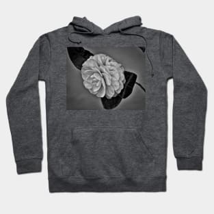 Camellia Hoodie